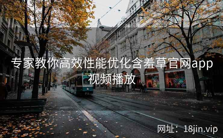 专家教你高效性能优化含羞草官网app视频播放