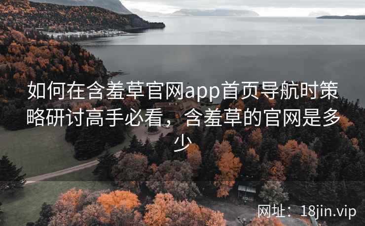 如何在含羞草官网app首页导航时策略研讨高手必看，含羞草的官网是多少