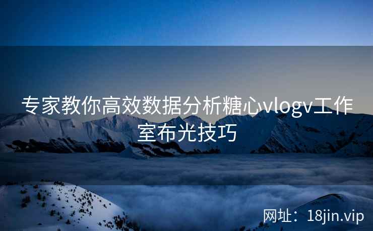 专家教你高效数据分析糖心vlogv工作室布光技巧