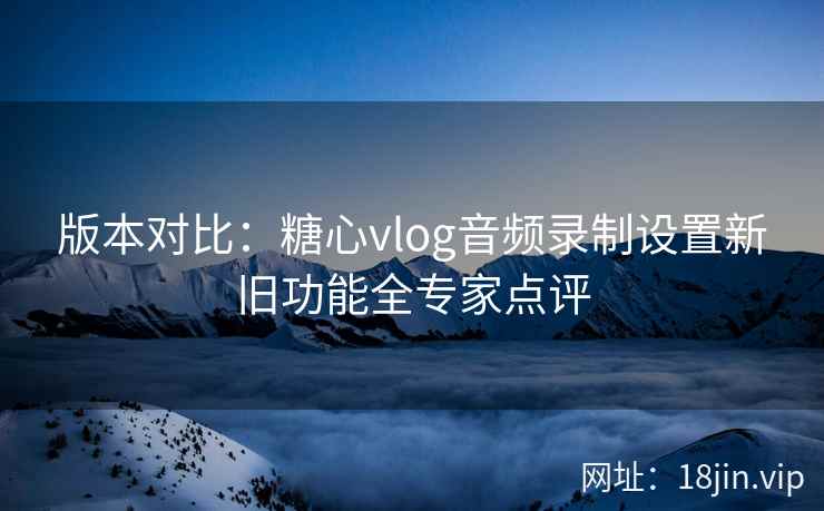 版本对比：糖心vlog音频录制设置新旧功能全专家点评