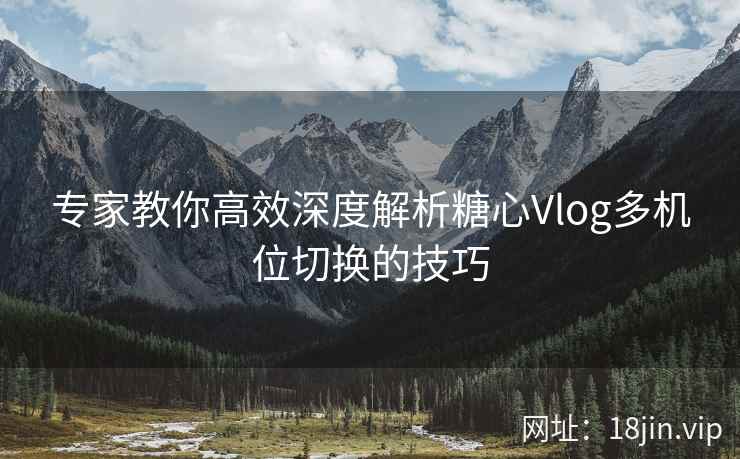 专家教你高效深度解析糖心Vlog多机位切换的技巧
